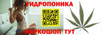 эйфоретик Кузнецк